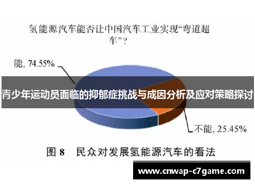 青少年运动员面临的抑郁症挑战与成因分析及应对策略探讨 青少年运动员面临的抑郁症挑战与成因分析及应对策略探讨