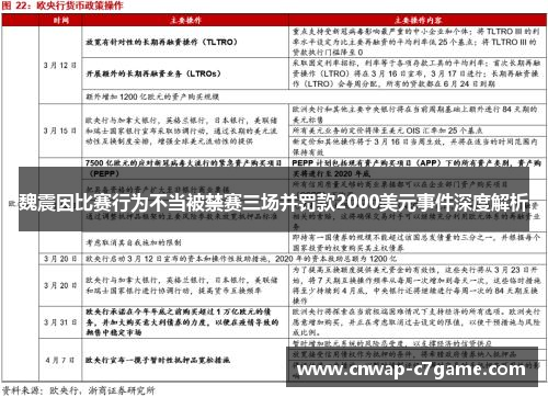魏震因比赛行为不当被禁赛三场并罚款2000美元事件深度解析
